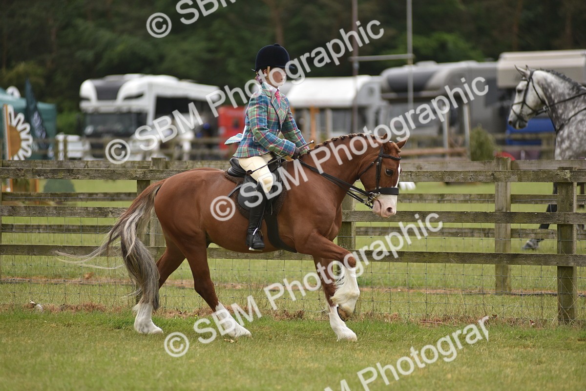 SBM_11996 - Class 110-112 - LIHS BSPS Performance Pones