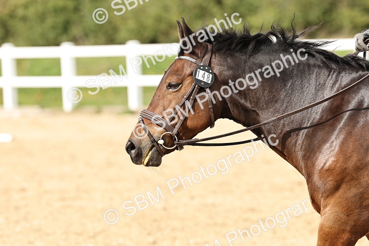 SBM_004932 - Class 70 - Elementary 2
