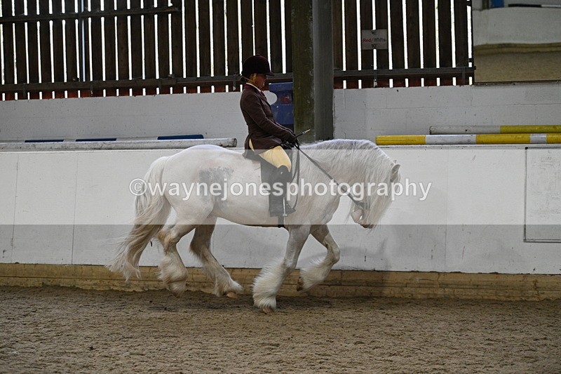 WJ7_3859 - Class 17 Ridden Cob