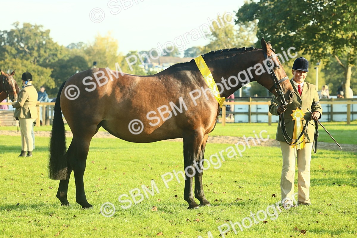 SBM_56749 - S36 - Starters Best Turnout