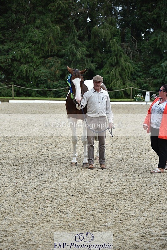 230812-144722-04852 - Novice Silver Presentations