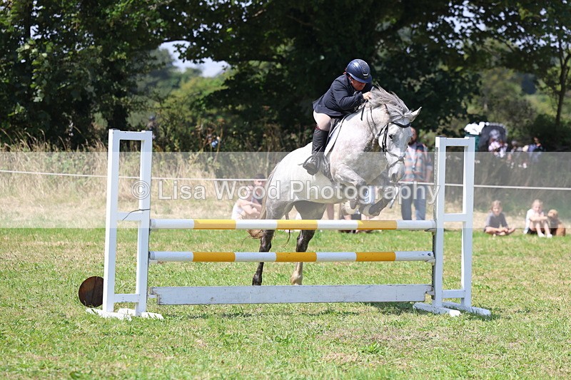 3E7A2918 - Class 7: Senior British Novice/90cm open