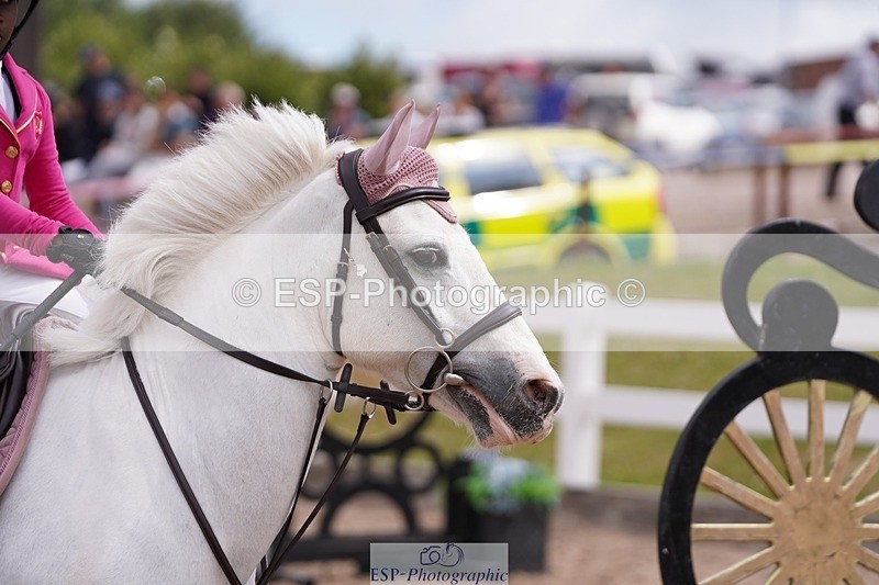 250628-111846-04309 - Cls 22 Springboard