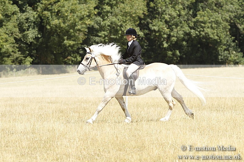 _BS_0766 - BVRC Show 2018 Ring 1