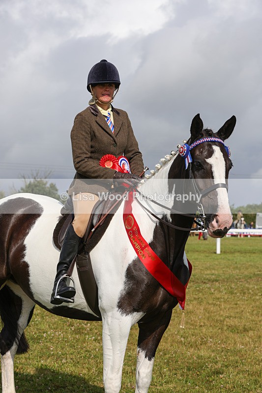 1X9A3523 - Skewbald and Piebald Ridden Championship