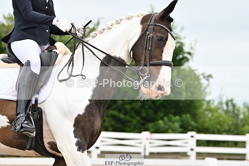 240623A-155913-19833 - Cls 54 BD Medium 73