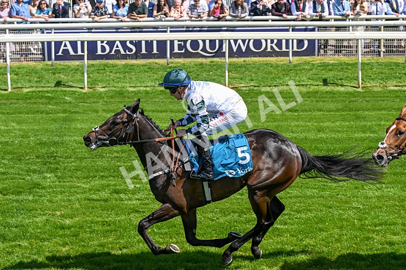230526-Race 2-Possessive-0373 - Race 2 14.05pm Tomahawk EBF Restricted Novice Stakes