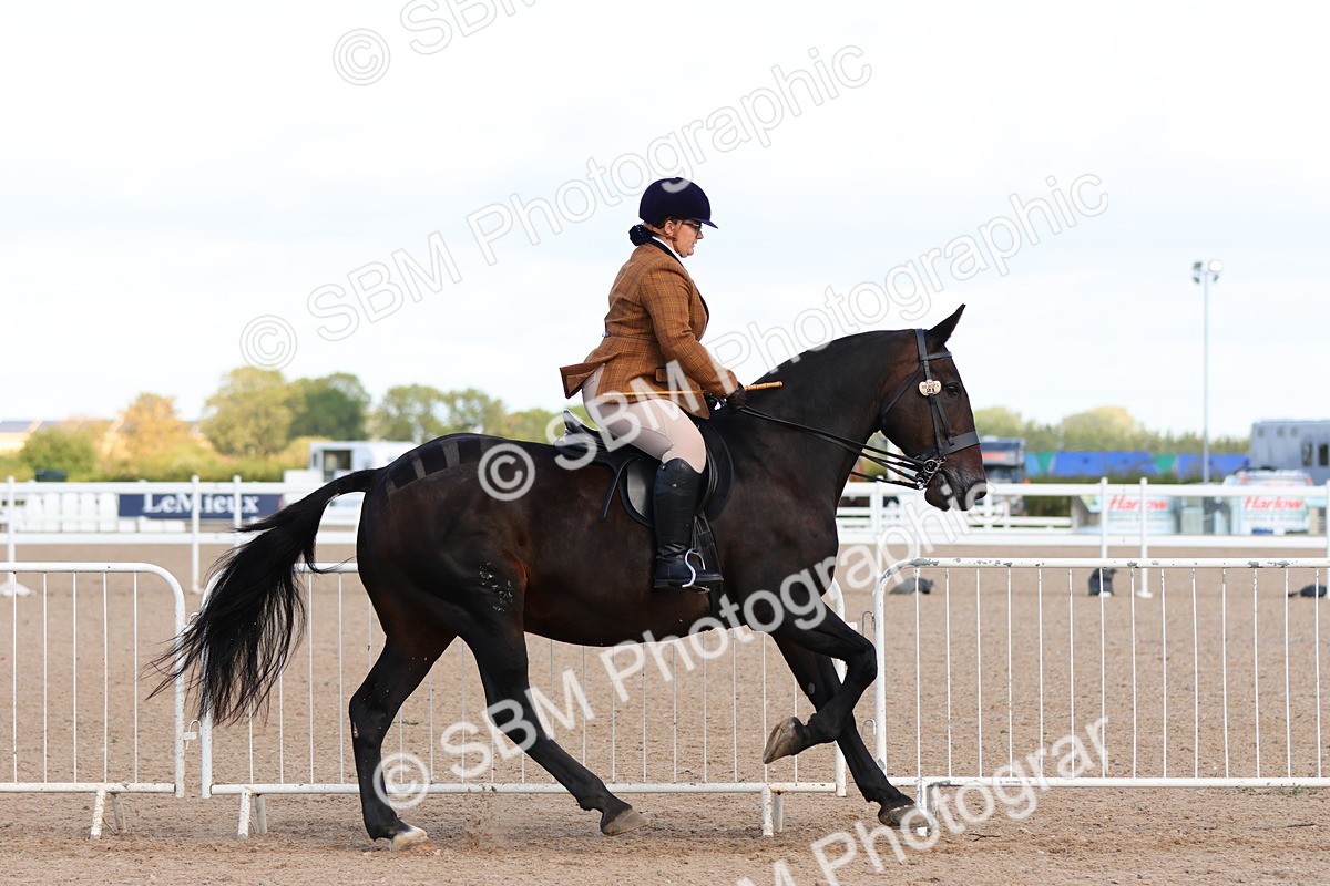 SBM_13481 - Class 212 - Ridden Hunter  - Large