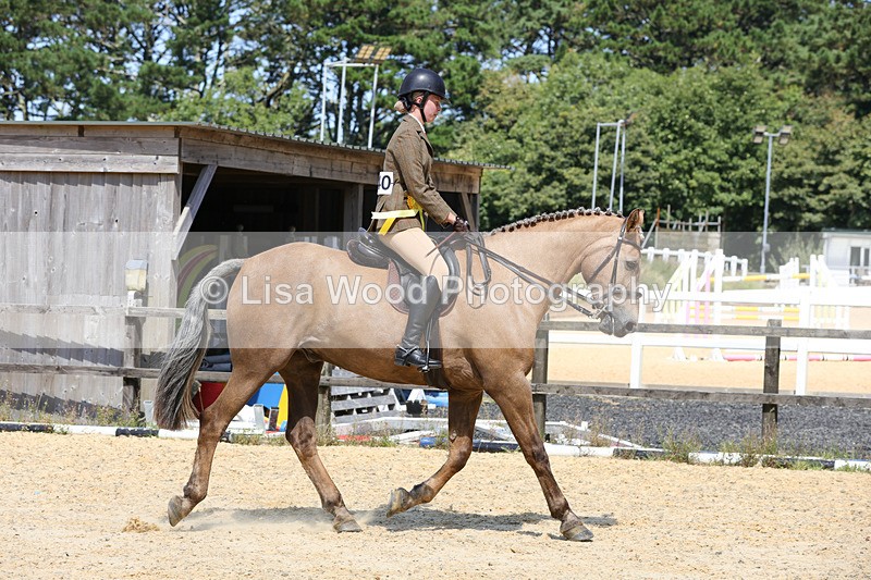 1X9A8860 - Class 19: Riding Club Horse