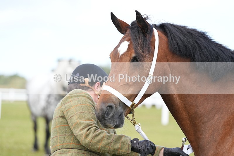 DSC05785 - Class 51: NPS M&M 4 years and over Large Breeds