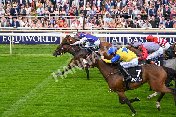 250725-Race 1-Pressures On - Quest For Fun-5368 - Race 1 5.30pm eventmasters.co.uk Handicap