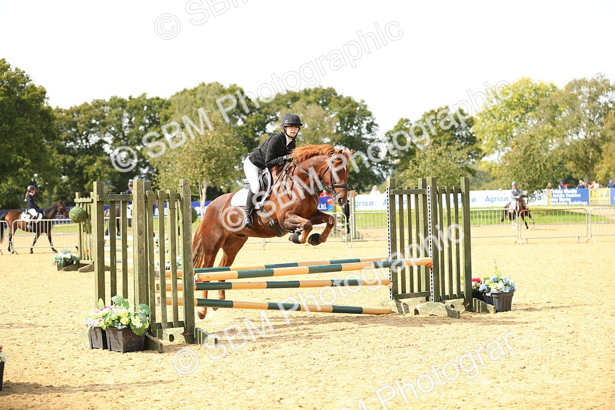 SBM_66212 - J17 - Junior Pony 80cm Championship