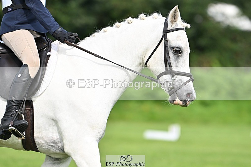 230826-104005-16624 - Sections A & B 10 to End