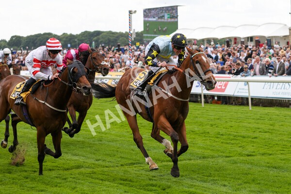 yr11062022r3-32 - Race 3 2.35pm The JCB Stakes