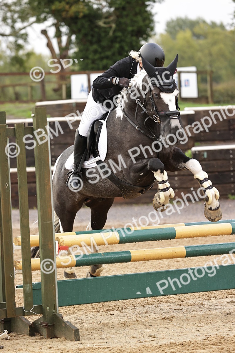 SBM_33000 - J38 - Senior Horse & Pony 80cm Championship