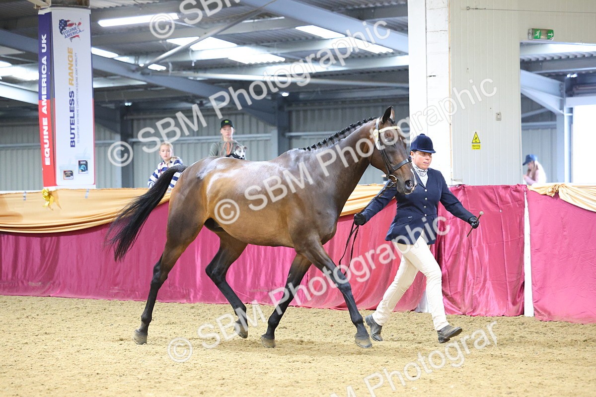 SBM_22828 - Class 903 - Supreme Final - IH Pre Vet