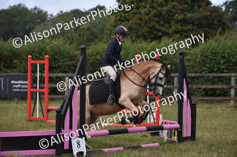 20250831-1880 - Class 9 - Absolute Novice 45cm