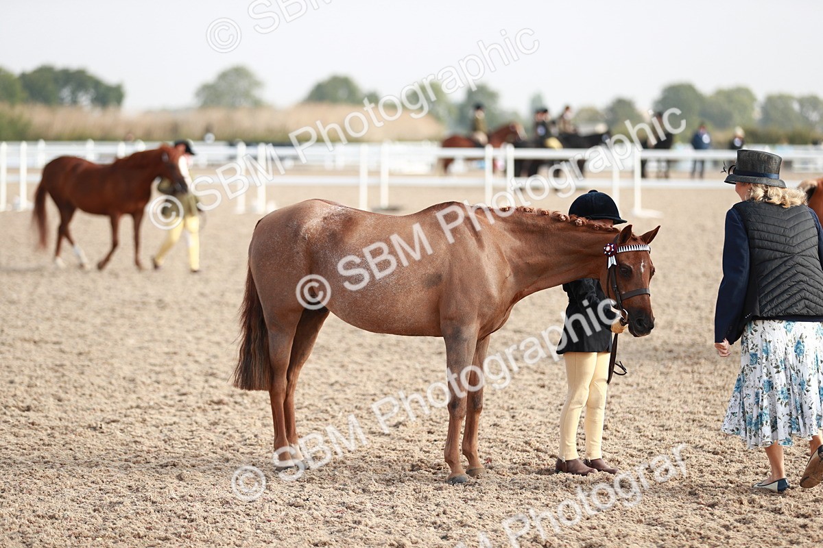 SBM_09885 - Class 203 Young Handler, 10 years and under