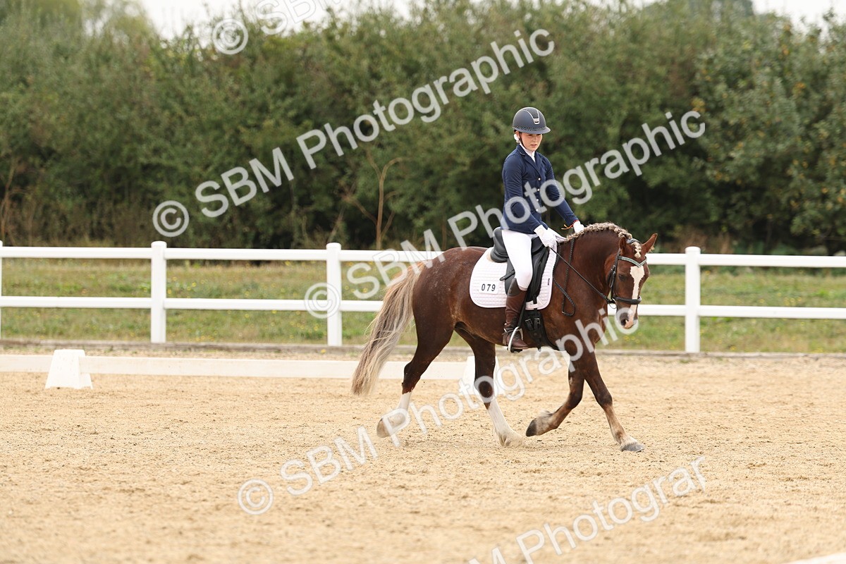 SBM_01049 - Class 8 - Novice 27 Champs