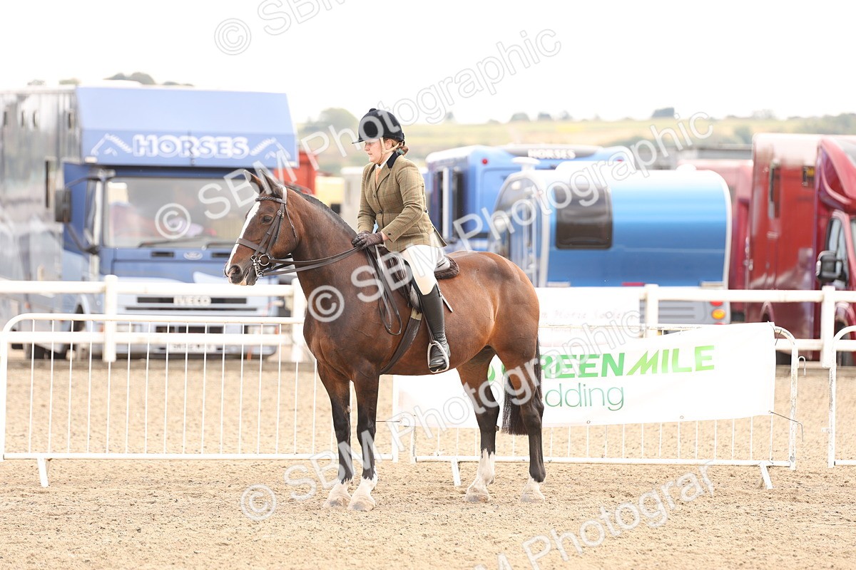 SBM_05147 - Class 56a -  Style & Performance - 50cm (15-19)