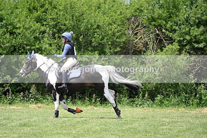 WJ6_3451 - Class 4 60cm