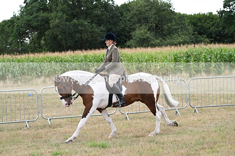 WJ7_5101 - Class 12 Ridden Cob