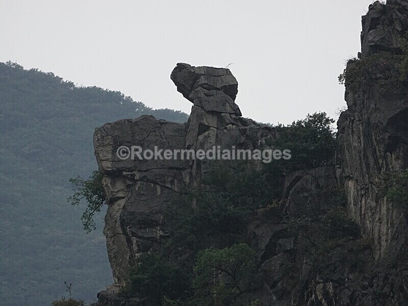 CHINA__0655 - China 2019