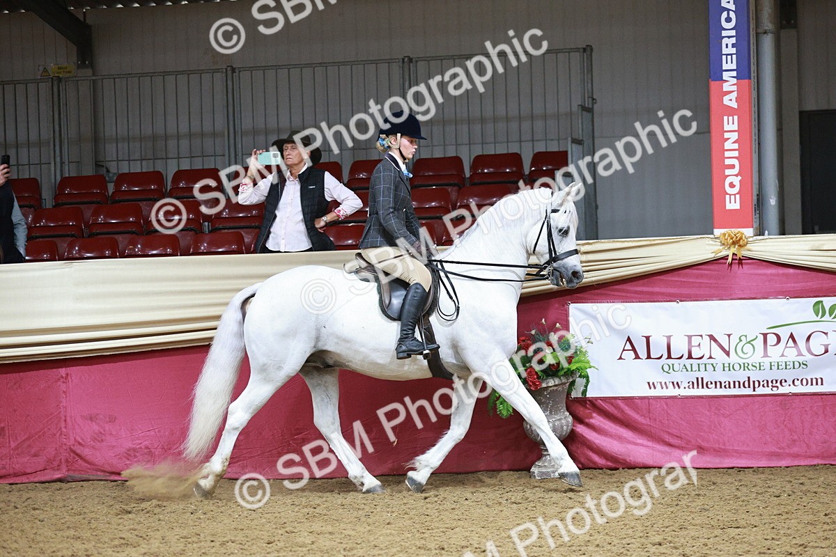 SBM_03334 - Class 6A Area Ridden Pre-Vet