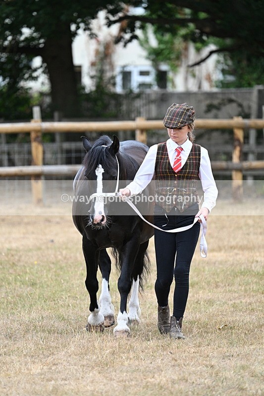 WJ7_8072 - Class 4 Prettiest Mare up to 14.2hh