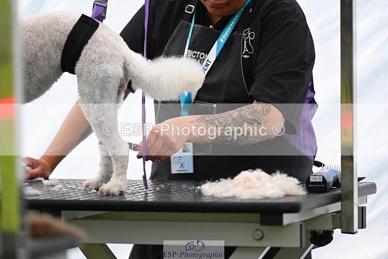 240525-114944-12644 - Candid and Saturday Hobby Horse