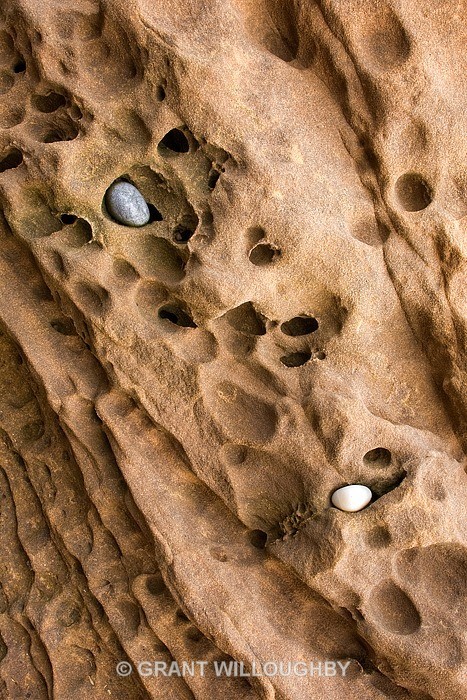 Tarbat Ness shore detail 3 - Shoreline Detail