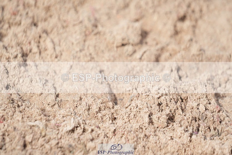 250902-151316-00044 - Clear Round