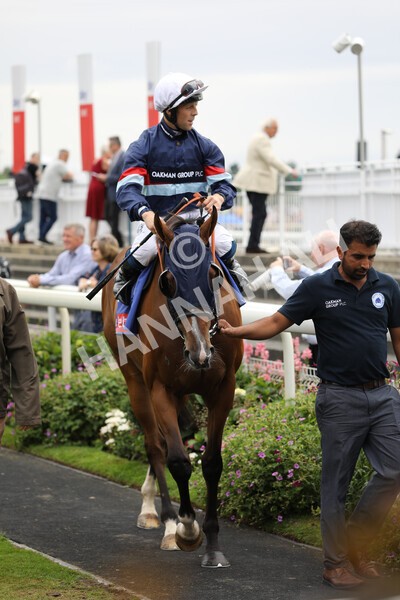 yr23072022r3-8 - Race 3 3.15pm Sky Bet York Stakes