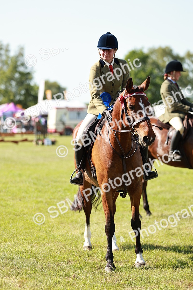 SBM_18950 - Class 114 - RIHS & SEIB Open Working Show Horse