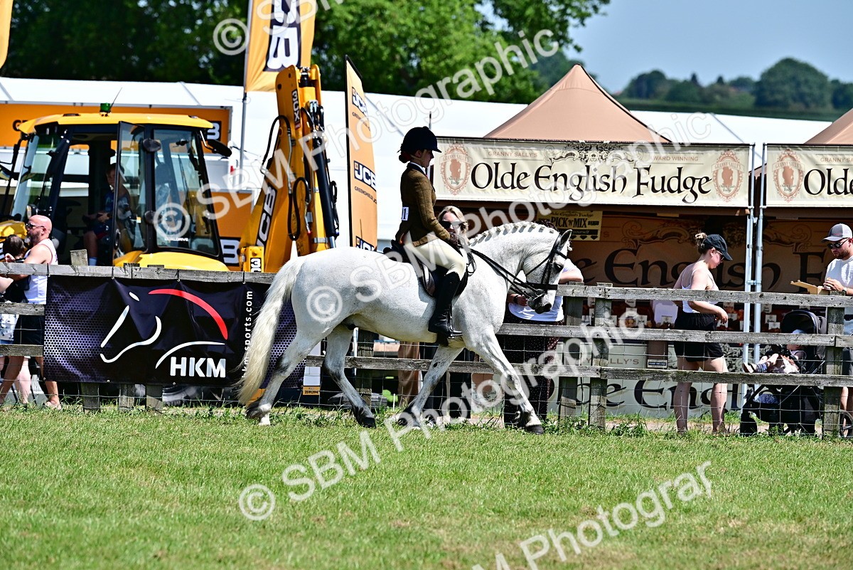 SBM_15380 - Class 95-97 - BSPS LHS Performance Ponies