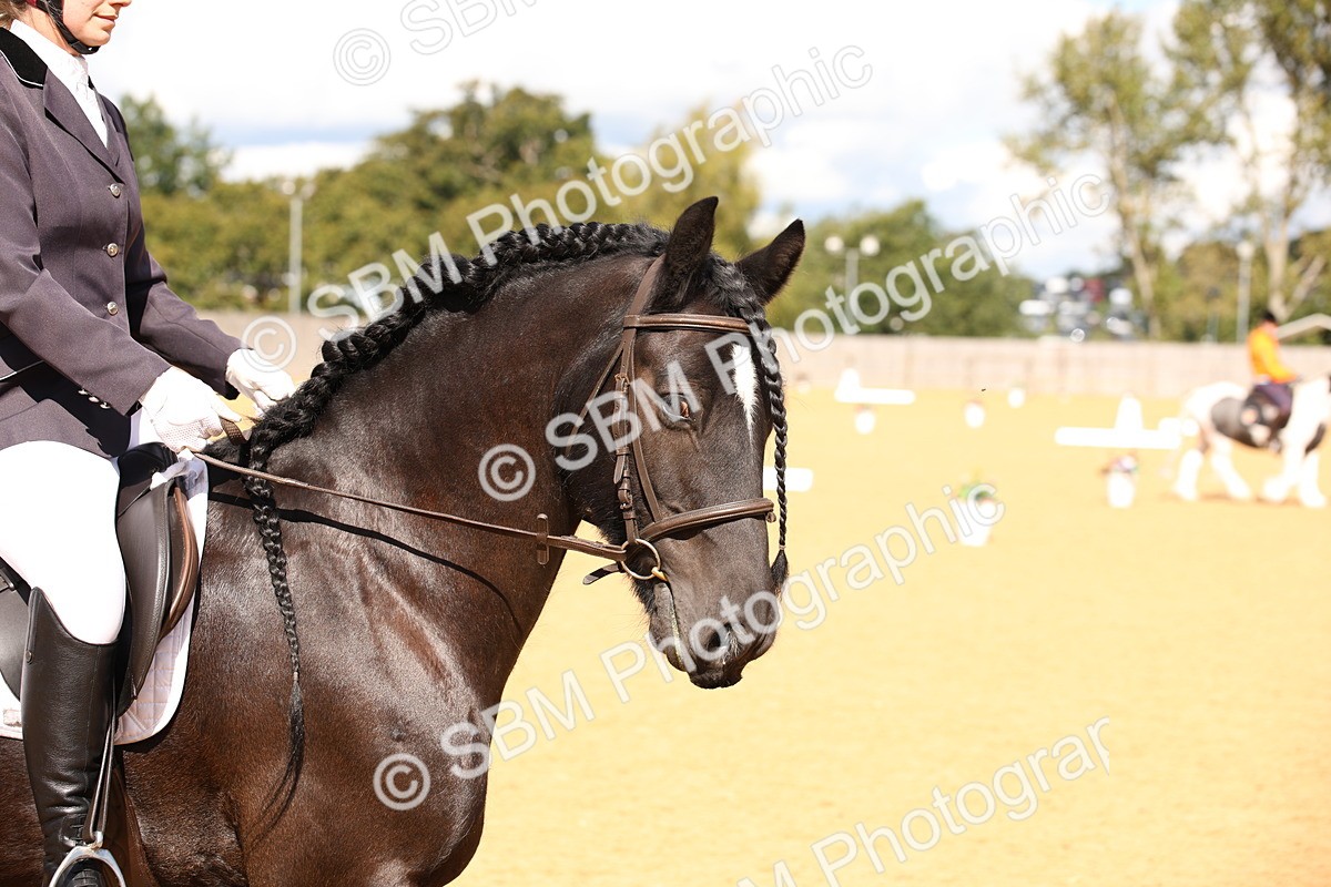 SBM_06727 - D8 Small Tour Championship Prelim 7