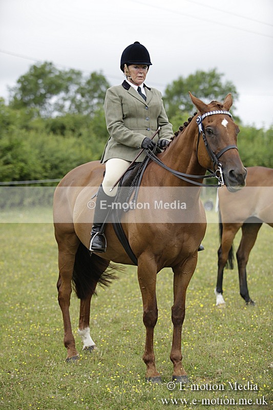 BVR160717-461 - Ring 1 BVRC Show 16/07/17