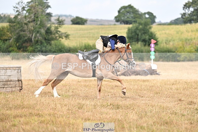 250824A-122749-36110 - 2028-Harry.Honeyball-Sardis.Cassius