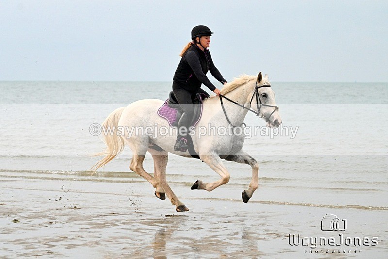 WJ7_9031 - Hayling Island Beach Shoot 22-09-24