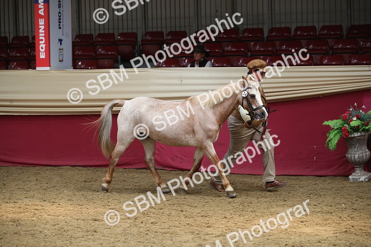 SBM_05464 - Class 8R - Regional IH Veteran