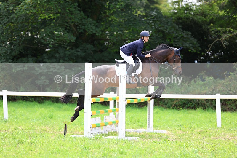 3E7A6974 - Class 5: Senior British Novice/90cm open