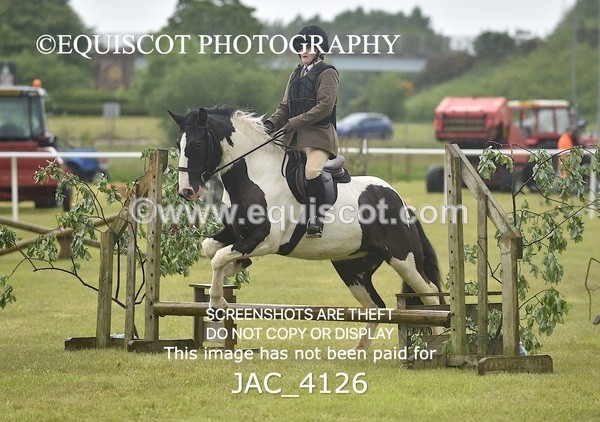 JAC_4126 - 40CM WORKING HUNTER