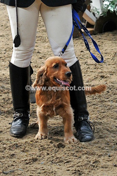 equiscot 3185CR - NICOLA CAPPER