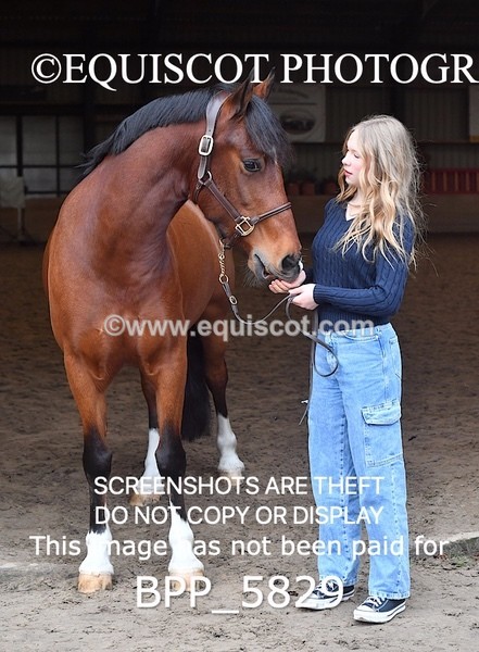 BPP_5829 - Marion West pony 3