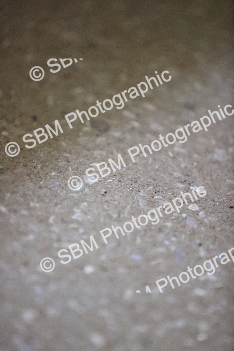 SBM_002507 - Class 11-5 - FSM Ele-Preli