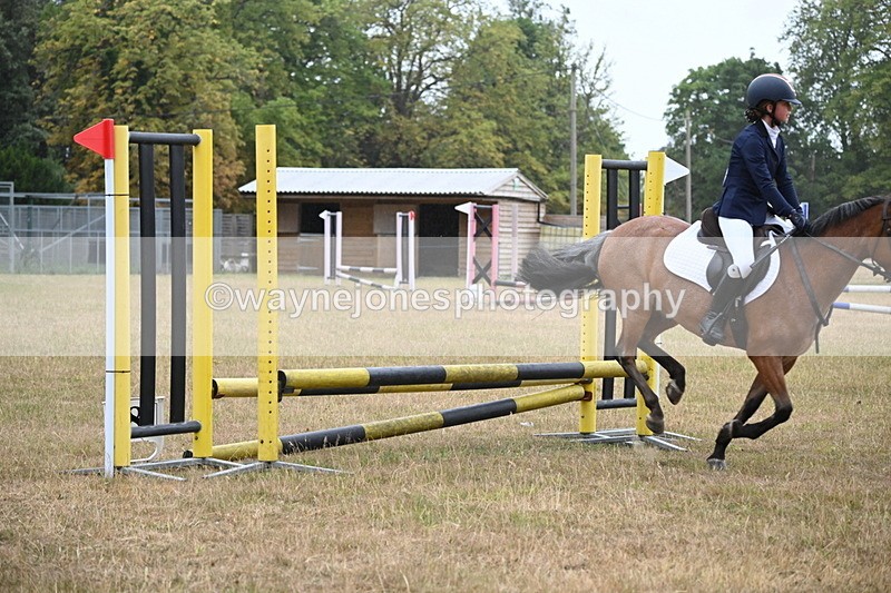 WJ6_0011 - Class 13 Novice Jumping 60cm
