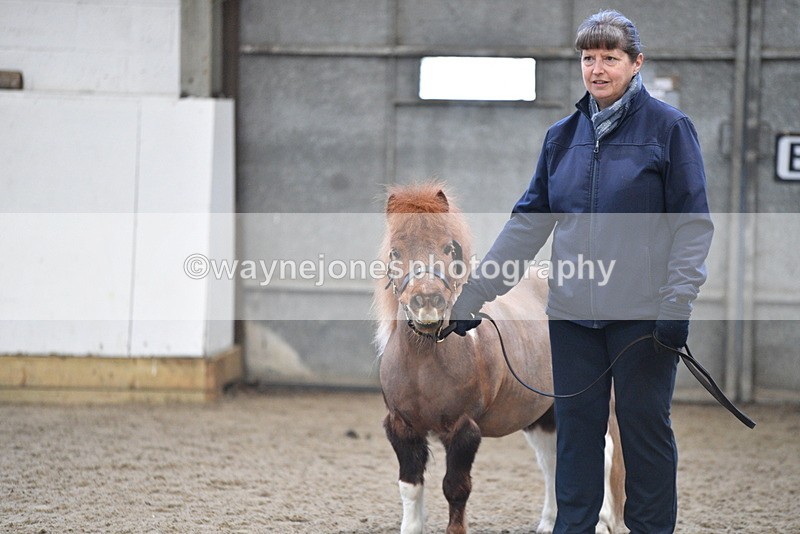 WJ5_5128 - Class 7 In hand coloured / odd coloured