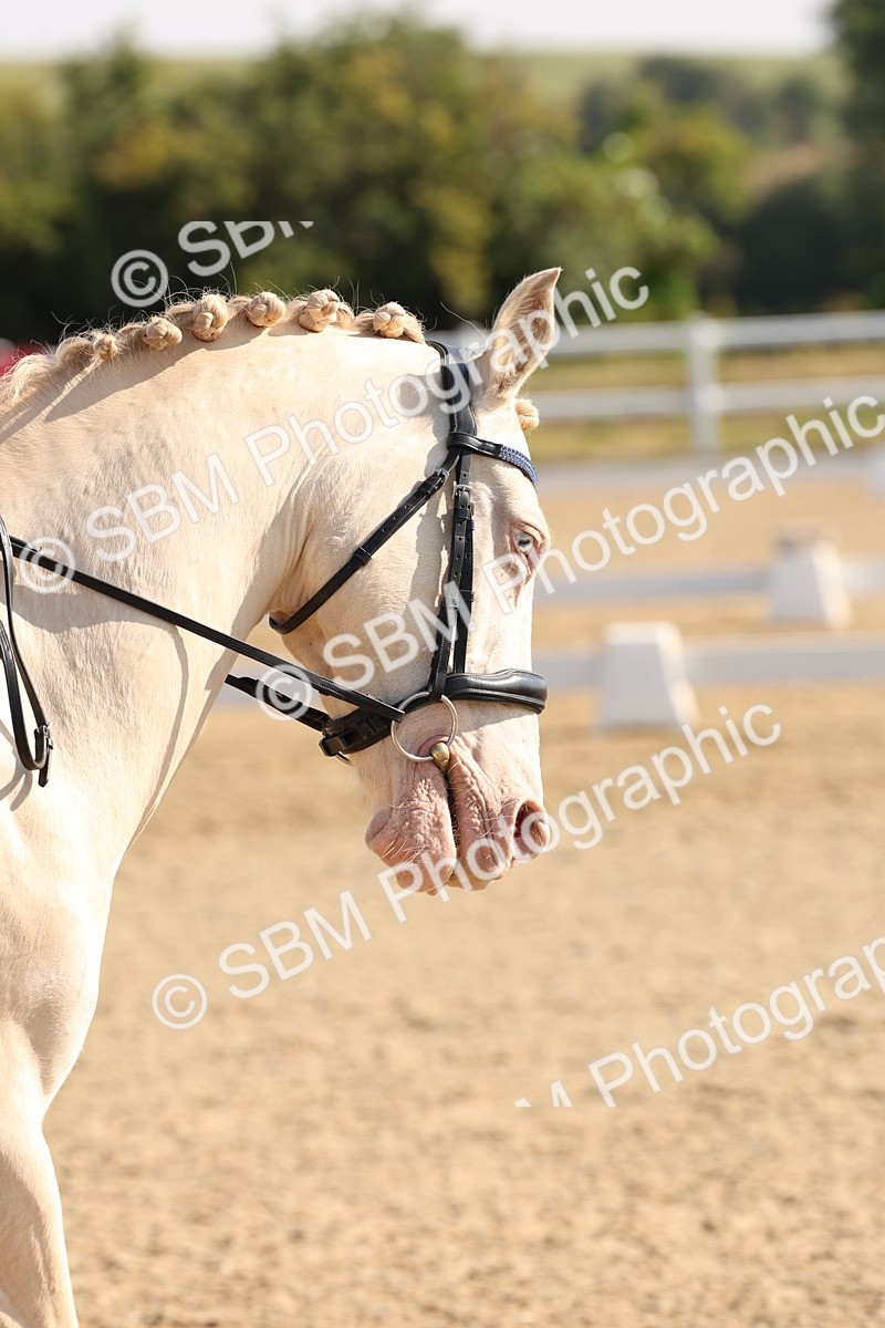 SBM_002821 - Prelim 4 - Warm Up