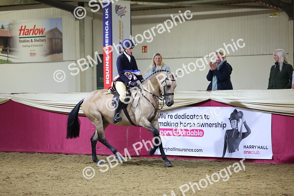 0B8A4611 - Class Q Style & Performance Champ