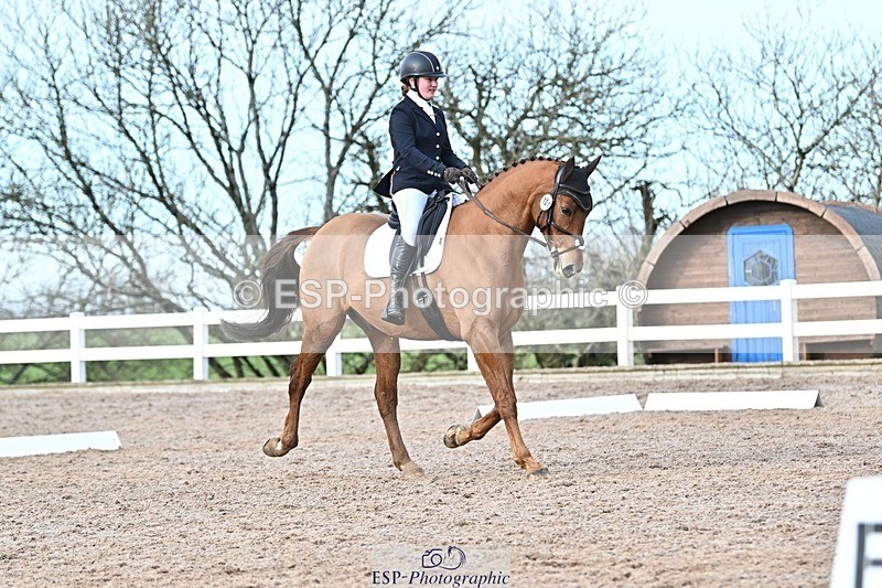 250125-130853-00566 - Dressage - CT Class 6 BE102